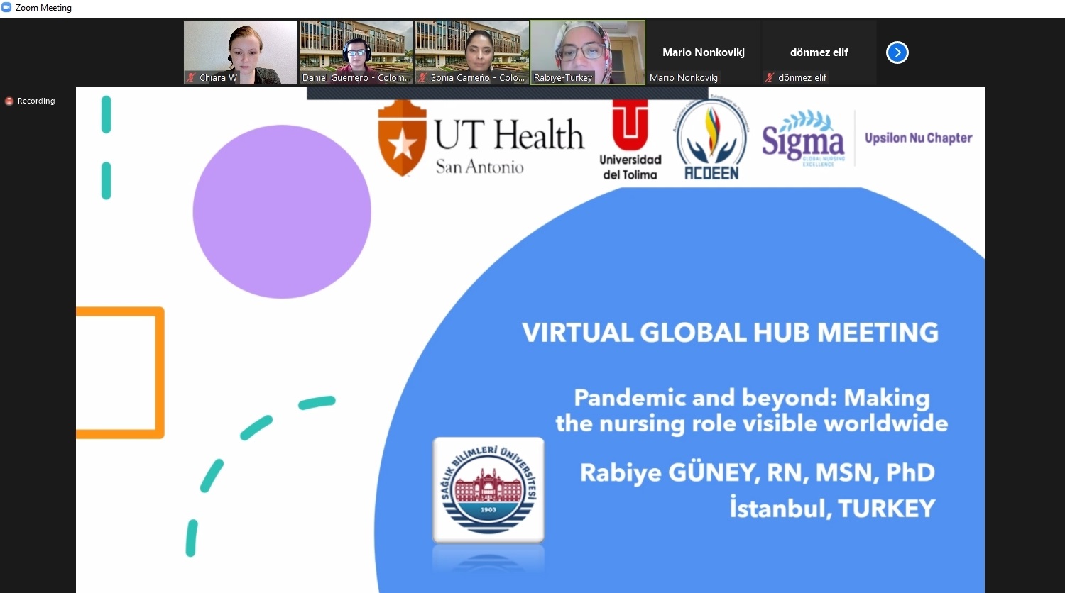 <div>
	การประชุมวิชาการ  Virtual Global Health Hub Conference "Pandemic and beyond: Making the nursing role visible worldwide"</div>
