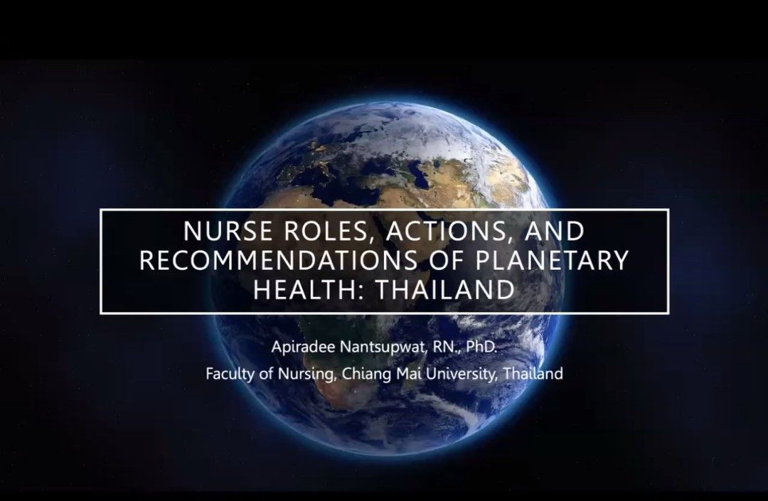 
	Nurse Roles, Actions, and Recommendations of Planetary Health
